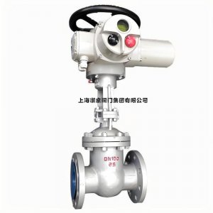 不銹鋼316電動(dòng)閘閥dn100